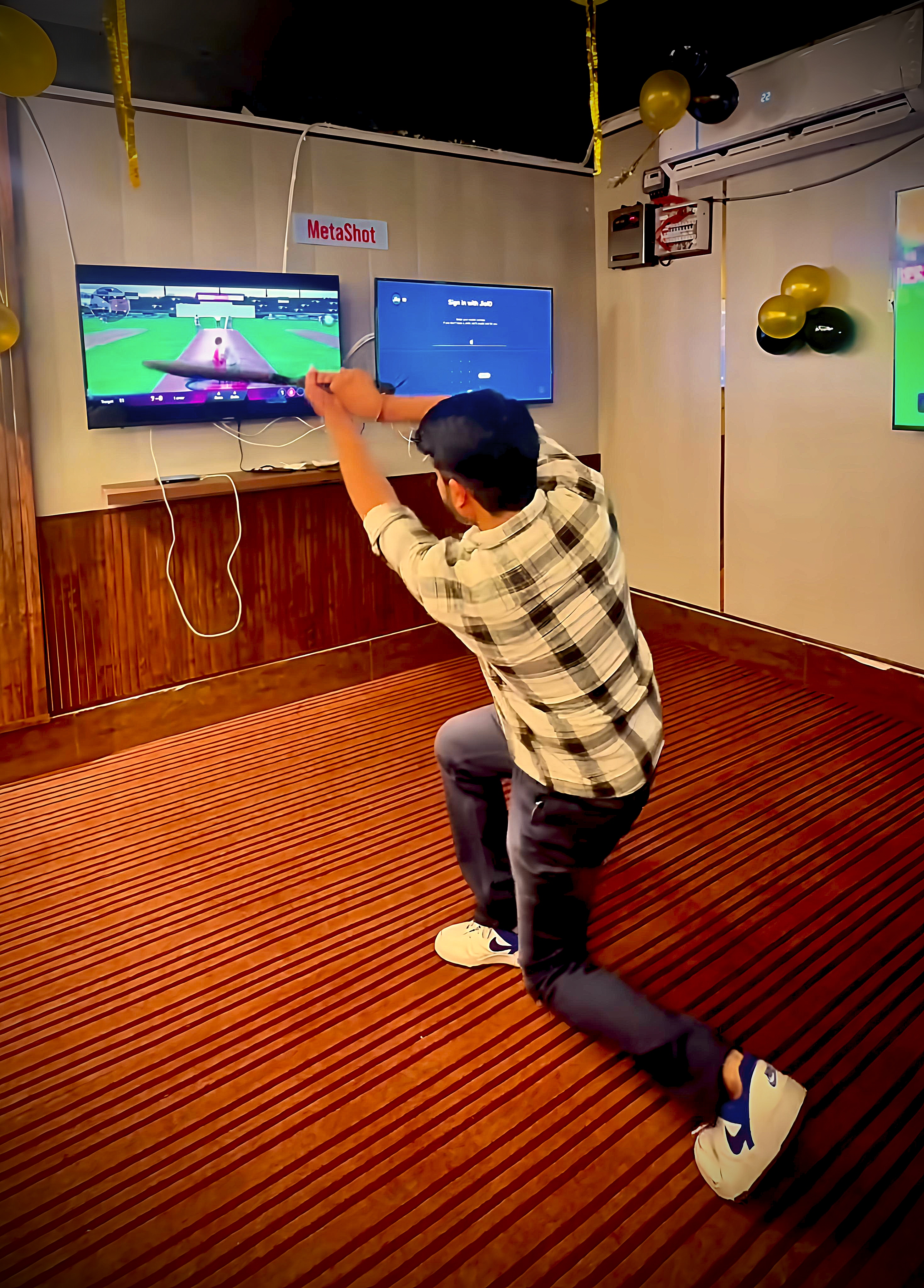 MetaShot Cricket Simulator